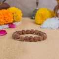 5 Mukhi Rudraksha Bracelet